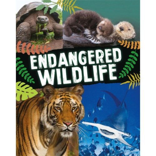Hachette Children's Group Endangered Wildlife (inbunden, eng)