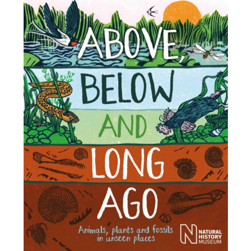 Hachette Children's Group Above, Below and Long Ago (inbunden, eng)