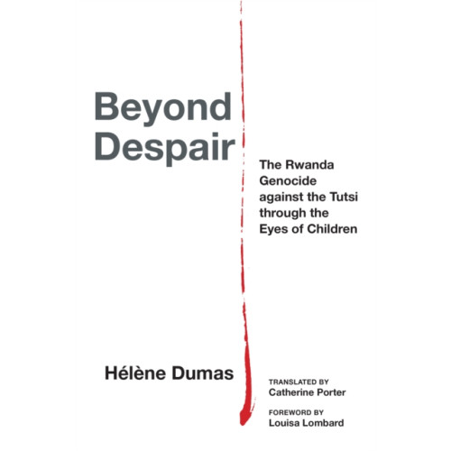 Fordham university press Beyond Despair (häftad, eng)