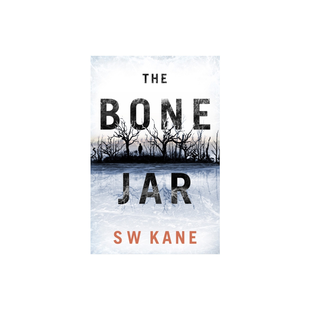 Produktbild för The Bone Jar (häftad, eng)