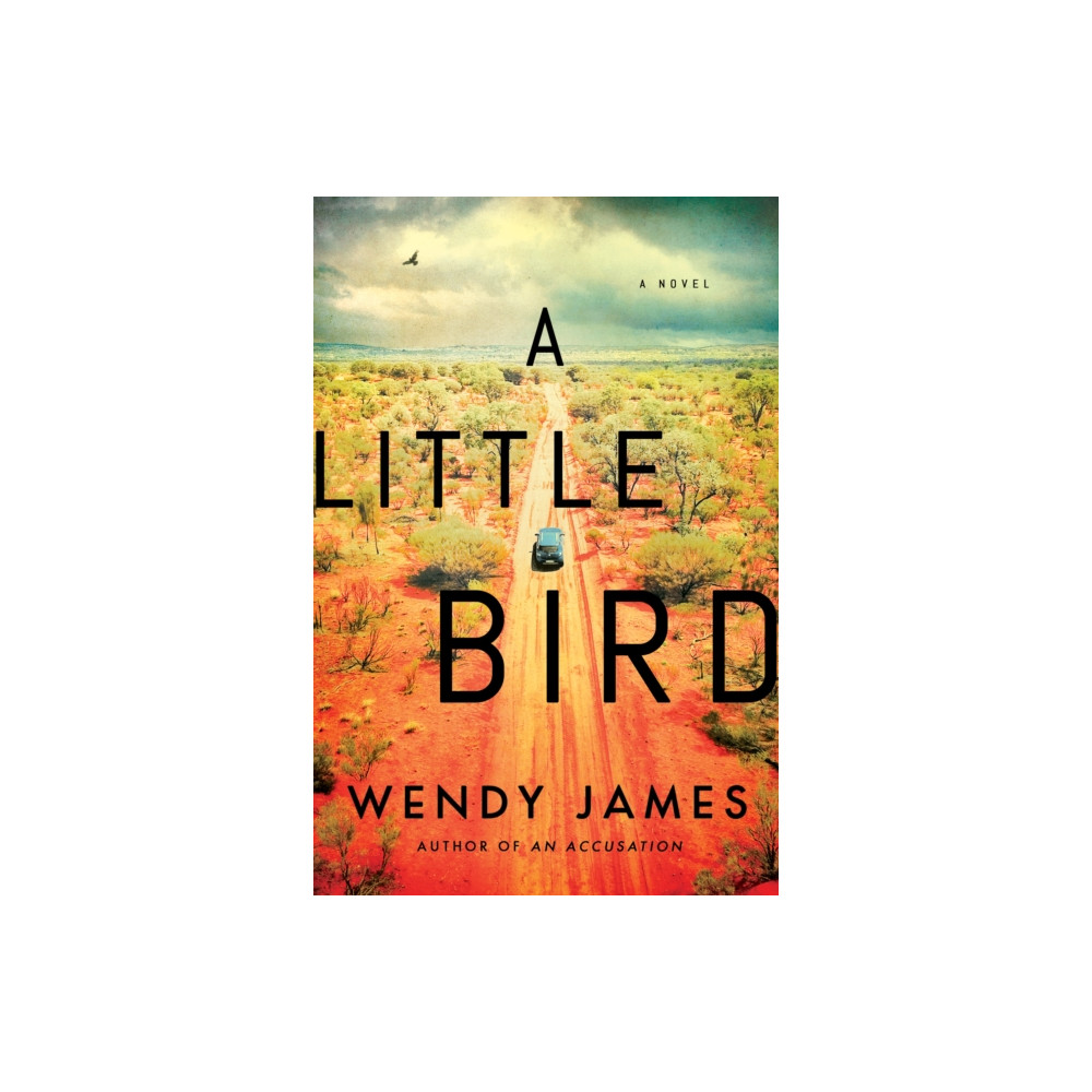 Produktbild för A Little Bird (häftad, eng)