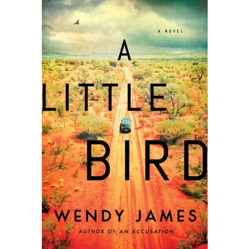 Amazon Publishing A Little Bird (häftad, eng)