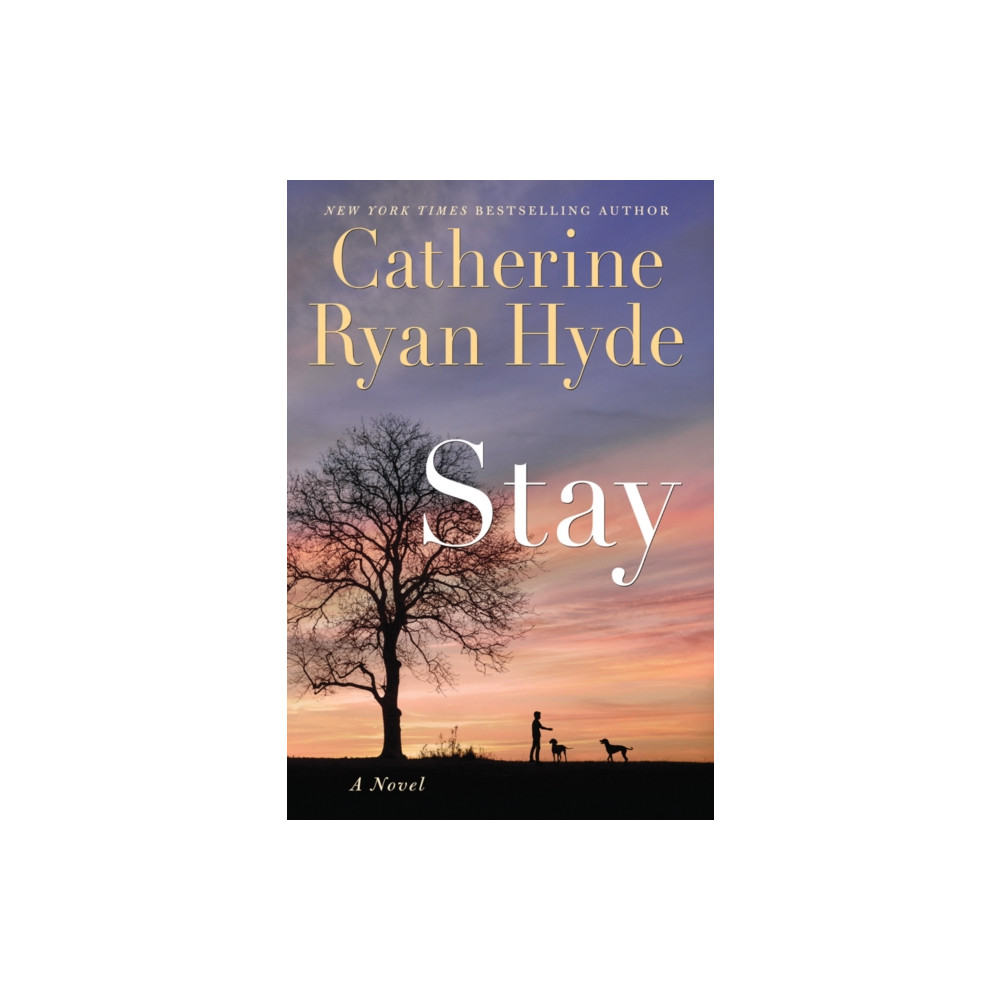 Produktbild för Stay (häftad, eng)