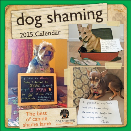 Andrews McMeel Publishing Dog Shaming 2025 Wall Calendar