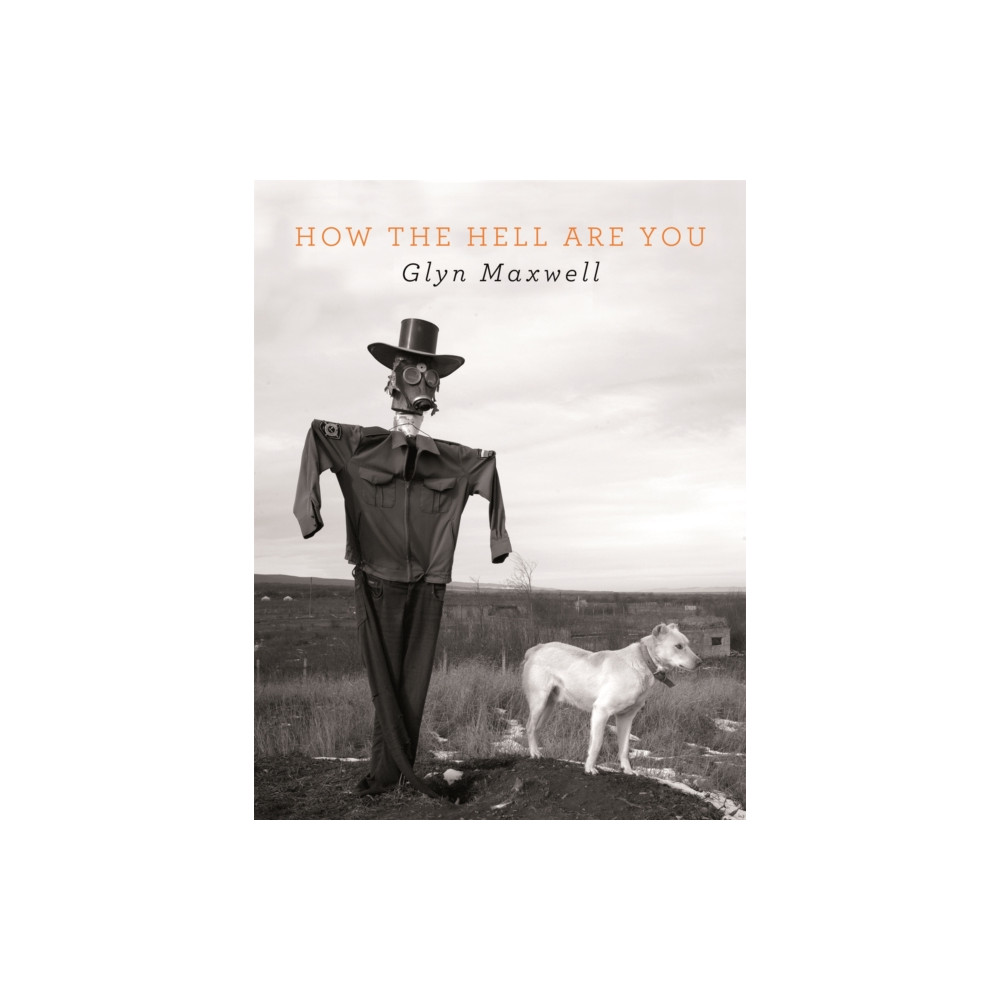 Produktbild för How The Hell Are You (häftad, eng)