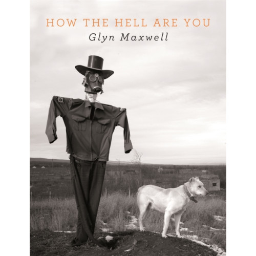 Pan Macmillan How The Hell Are You (häftad, eng)