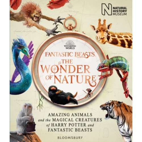 Bloomsbury Publishing (UK) Fantastic Beasts: The Wonder of Nature (häftad, eng)