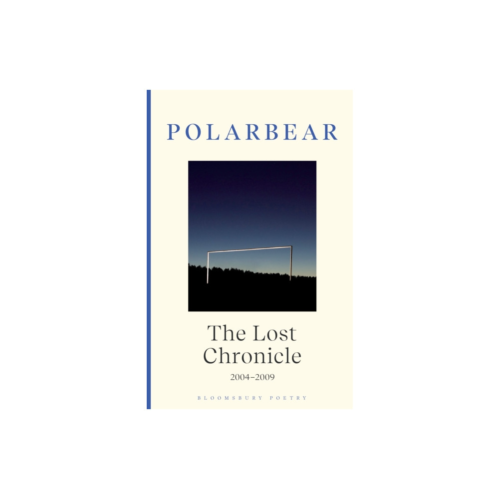 Produktbild för The Lost Chronicle (inbunden, eng)