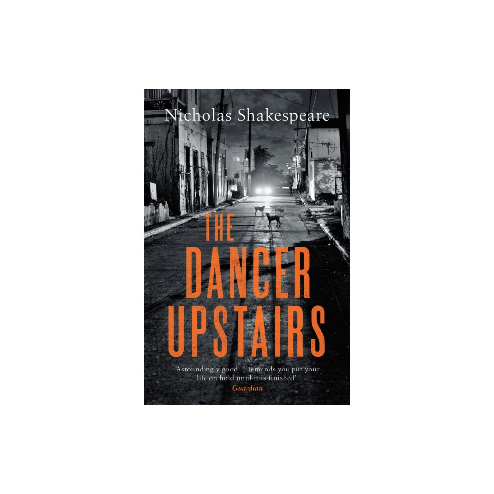 Produktbild för The Dancer Upstairs (häftad, eng)