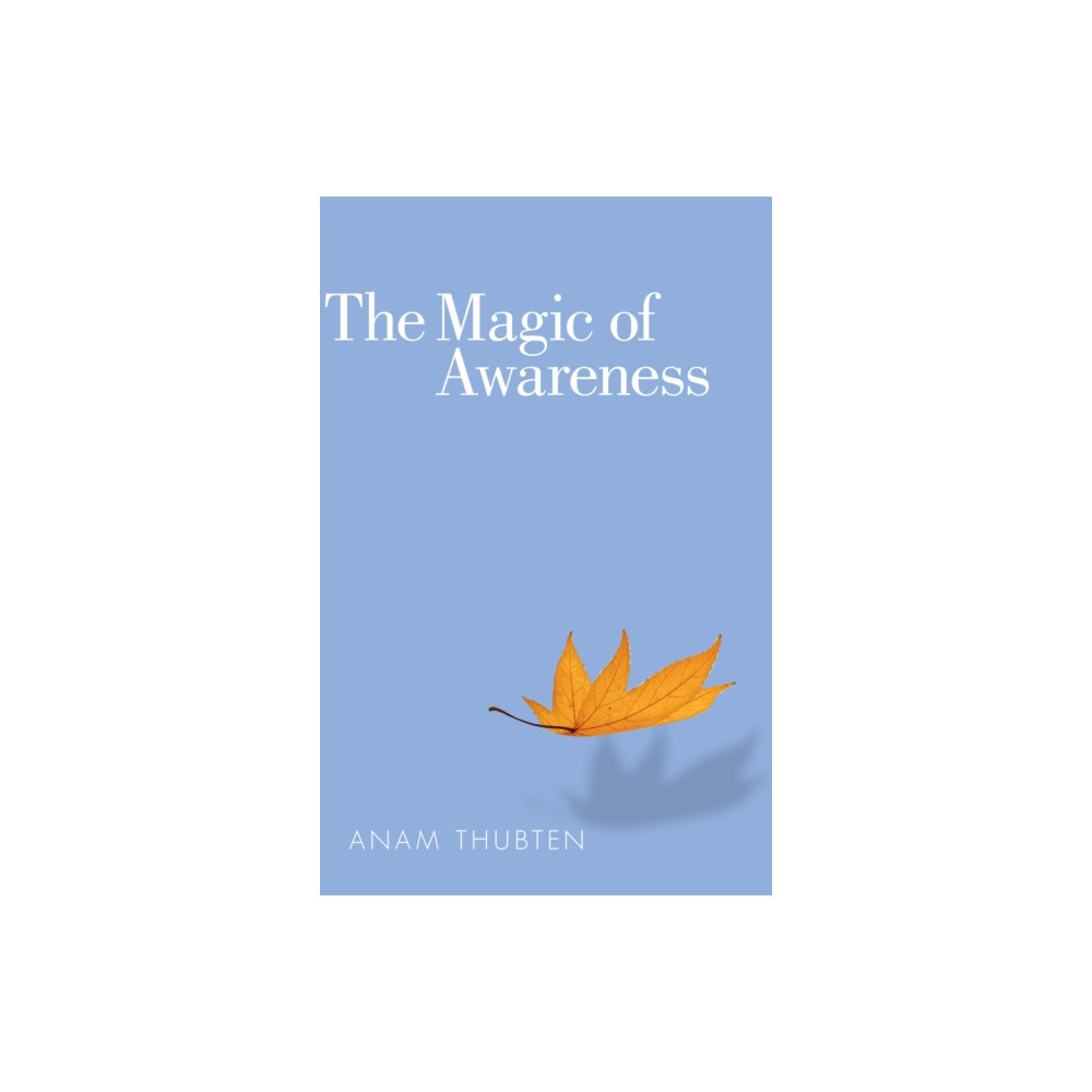 Produktbild för The Magic of Awareness (häftad, eng)