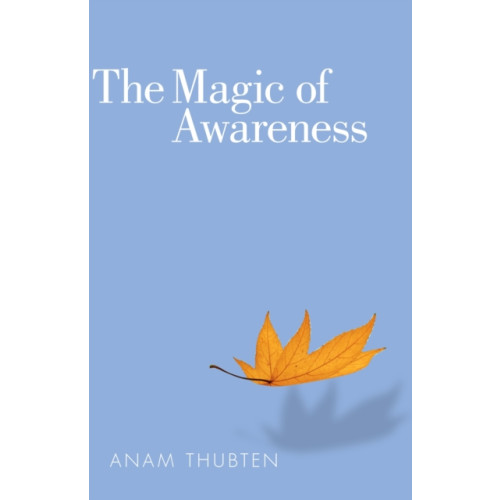 Shambhala Publications Inc The Magic of Awareness (häftad, eng)