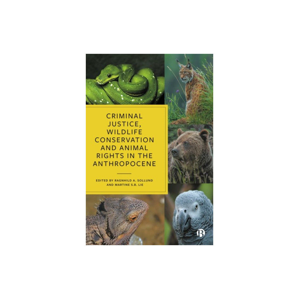 Produktbild för Criminal Justice, Wildlife Conservation and Animal Rights in the Anthropocene (inbunden, eng)