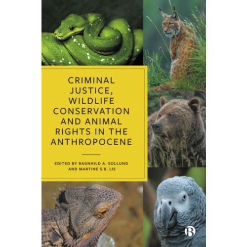 Bristol University Press Criminal Justice, Wildlife Conservation and Animal Rights in the Anthropocene (inbunden, eng)