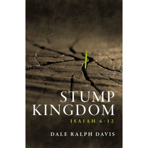 Christian Focus Publications Ltd Stump Kingdom (häftad, eng)