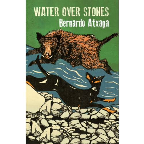 Quercus Publishing Water over Stones (häftad, eng)