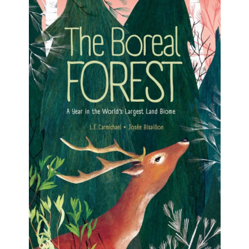 Kids Can Press The Boreal Forest (inbunden, eng)