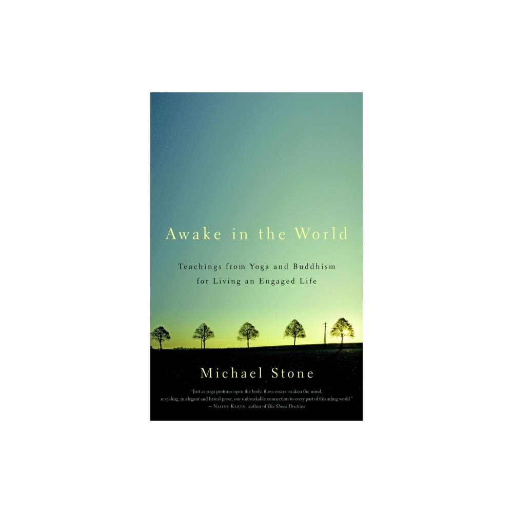 Produktbild för Awake in the World (häftad, eng)