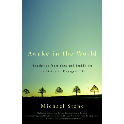 Shambhala Publications Inc Awake in the World (häftad, eng)