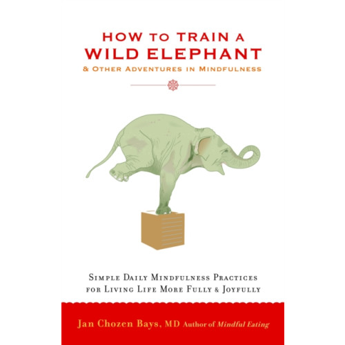 Shambhala Publications Inc How to Train a Wild Elephant (häftad, eng)