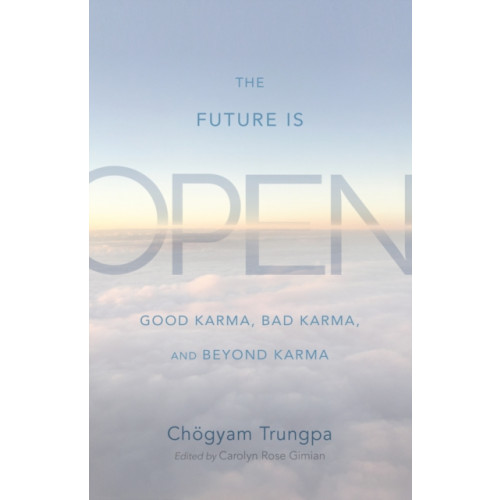 Shambhala Publications Inc The Future Is Open (häftad, eng)