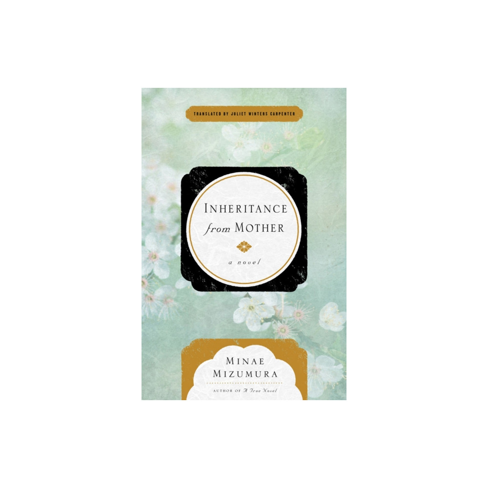 Produktbild för Inheritance From Mother (häftad, eng)