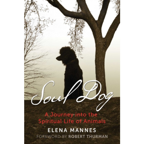 Inner Traditions Bear and Company Soul Dog (häftad, eng)