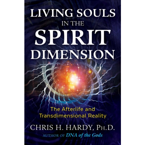 Inner Traditions Bear and Company Living Souls in the Spirit Dimension (häftad, eng)