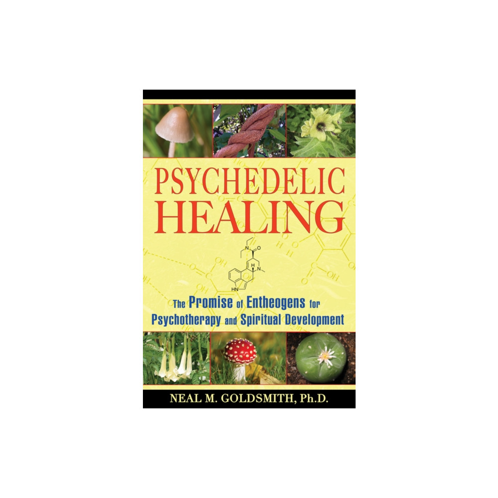 Produktbild för Psychedelic Healing (häftad, eng)