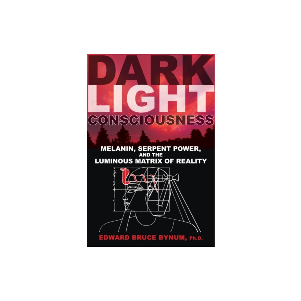 Produktbild för Dark Light Consciousness (häftad, eng)