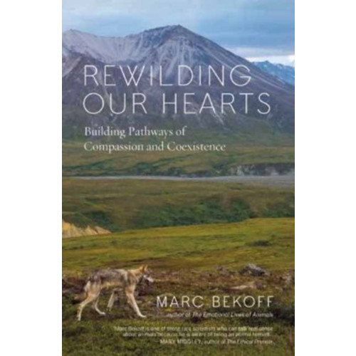 New World Library Rewilding Our Hearts (häftad, eng)