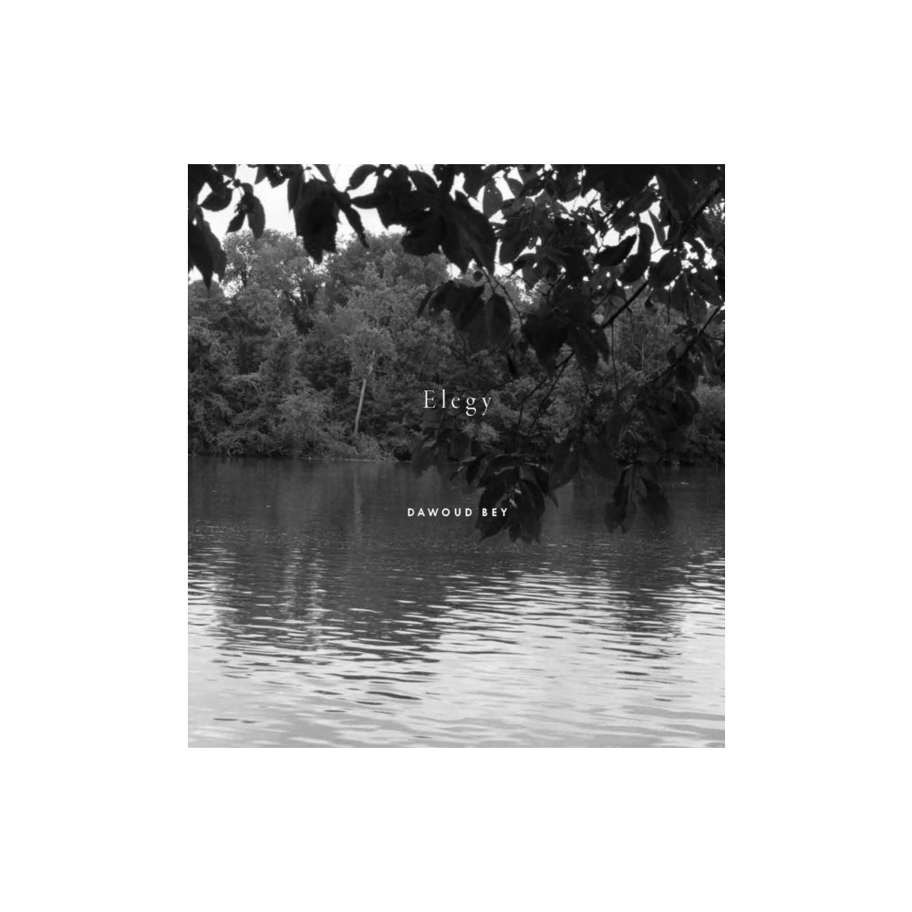 Produktbild för Dawoud Bey: Elegy (inbunden, eng)