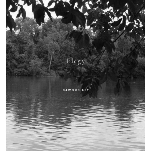 Aperture Dawoud Bey: Elegy (inbunden, eng)