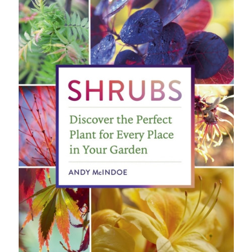 Workman Publishing Shrubs (inbunden, eng)