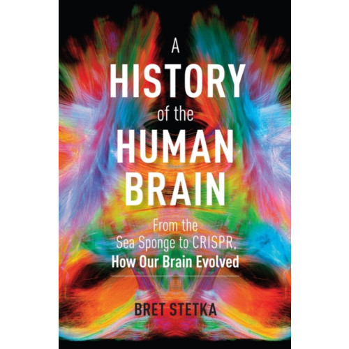 Workman Publishing A History of the Human Brain (inbunden, eng)