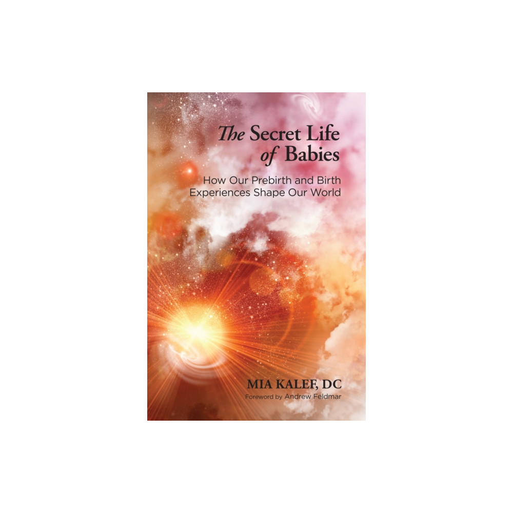 Produktbild för The Secret Life of Babies (häftad, eng)