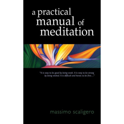 SteinerBooks, Inc A Practical Manual of Meditation (häftad, eng)