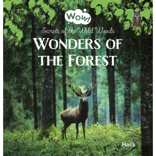 Clavis Publishing Wonders of the Forest. Secrets of the Wild Woods (inbunden, eng)