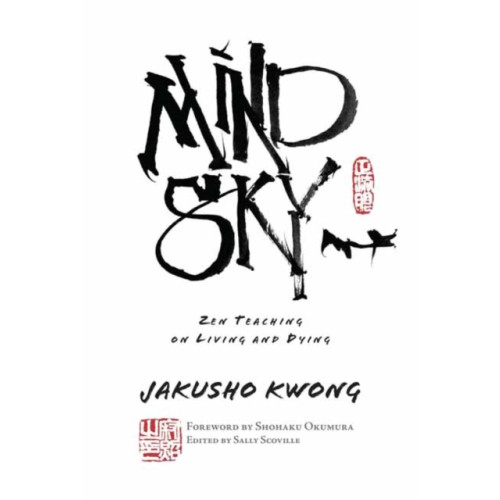 Wisdom publications,u.s. Mind Sky (häftad, eng)