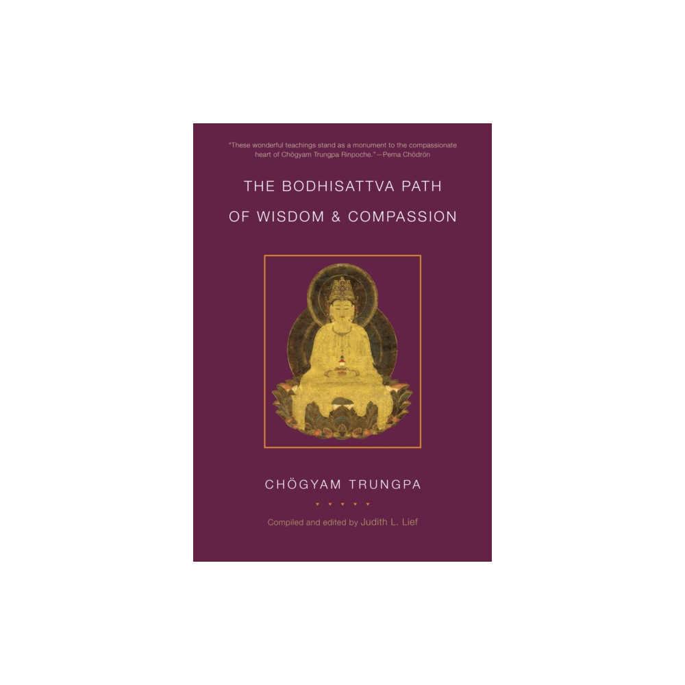 Produktbild för The Bodhisattva Path of Wisdom and Compassion (volume 2) (häftad, eng)