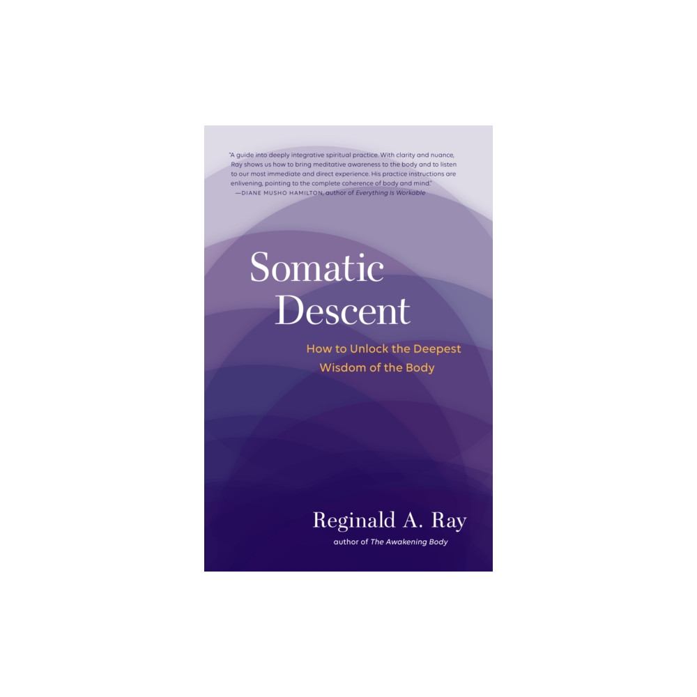Produktbild för Somatic Descent (häftad, eng)