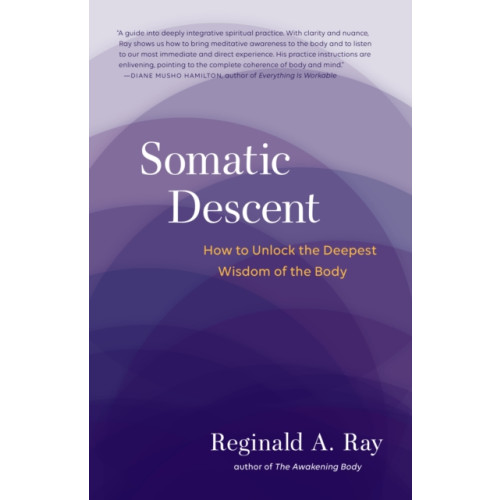 Shambhala Publications Inc Somatic Descent (häftad, eng)