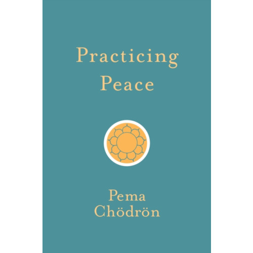 Shambhala Publications Inc Practicing Peace (häftad, eng)