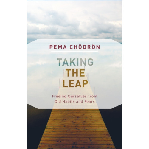 Shambhala Publications Inc Taking the Leap (häftad, eng)