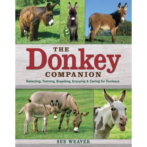 Workman Publishing Donkey Companion (häftad, eng)