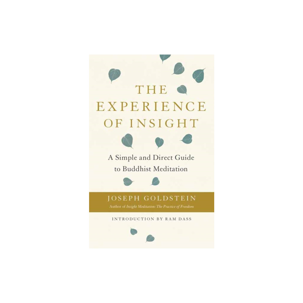 Produktbild för The Experience of Insight (häftad, eng)