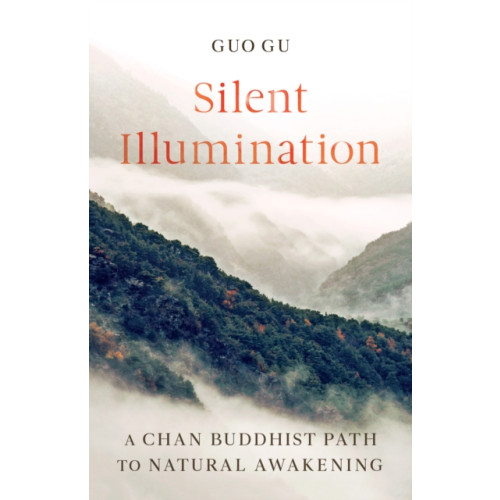 Shambhala Publications Inc Silent Illumination (häftad, eng)