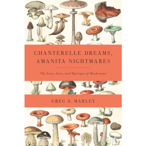 Chelsea Green Publishing Co Chanterelle Dreams, Amanita Nightmares (häftad, eng)