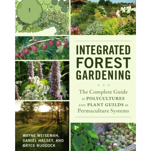 Chelsea Green Publishing Co Integrated Forest Gardening (häftad, eng)