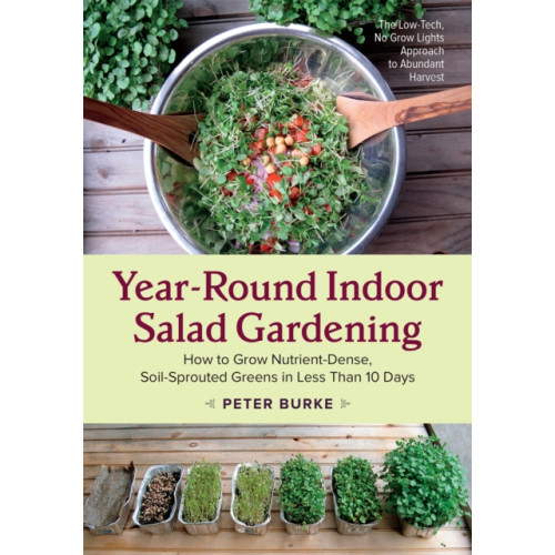 Chelsea Green Publishing Co Year-Round Indoor Salad Gardening (häftad, eng)