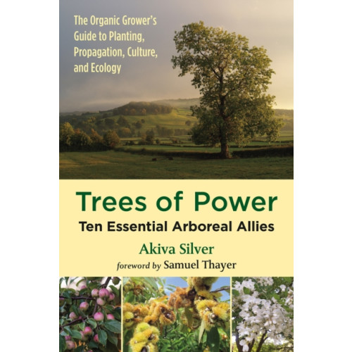 Chelsea Green Publishing Co Trees of Power (häftad, eng)